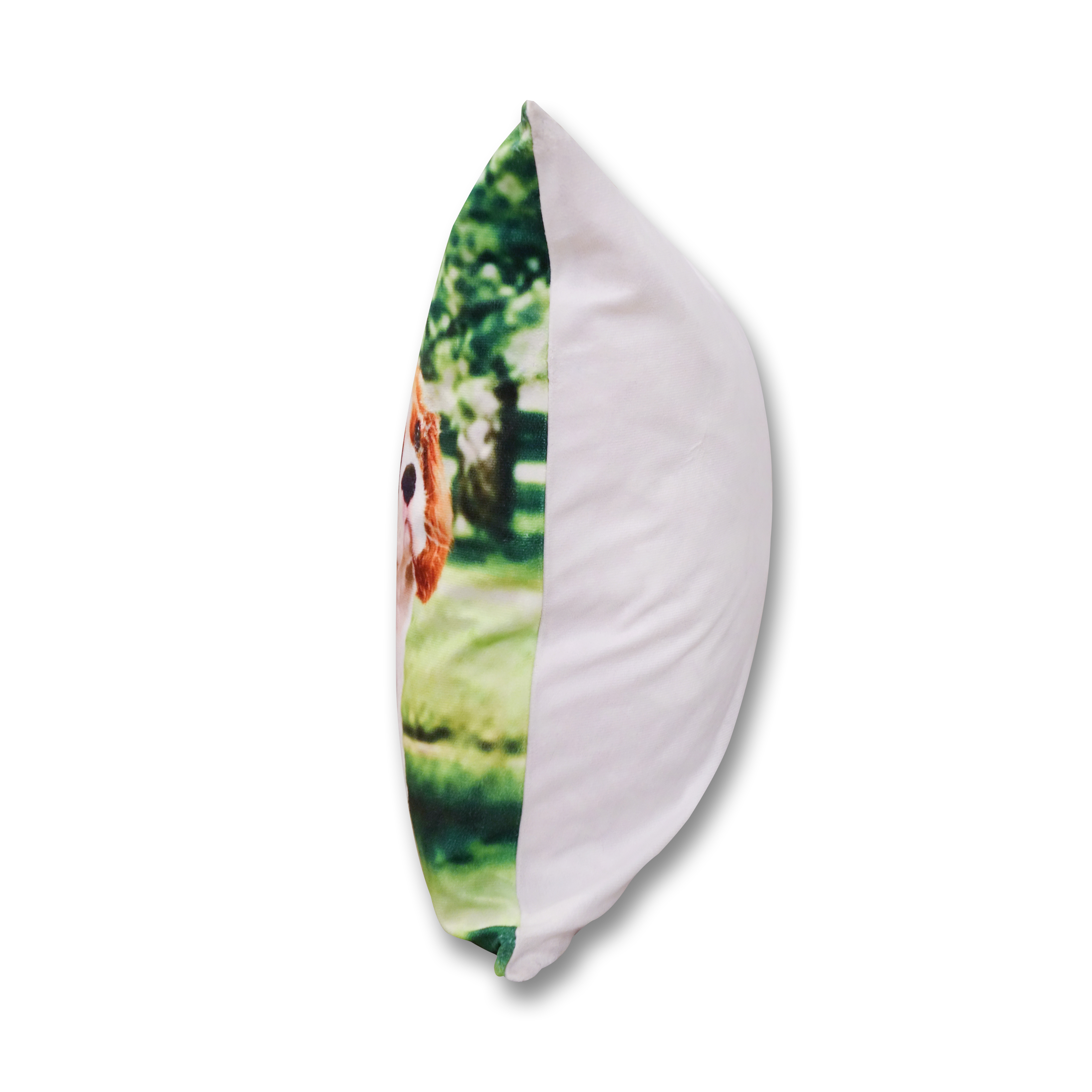 仿絨咕𠱸套 (等待主人的小狗)