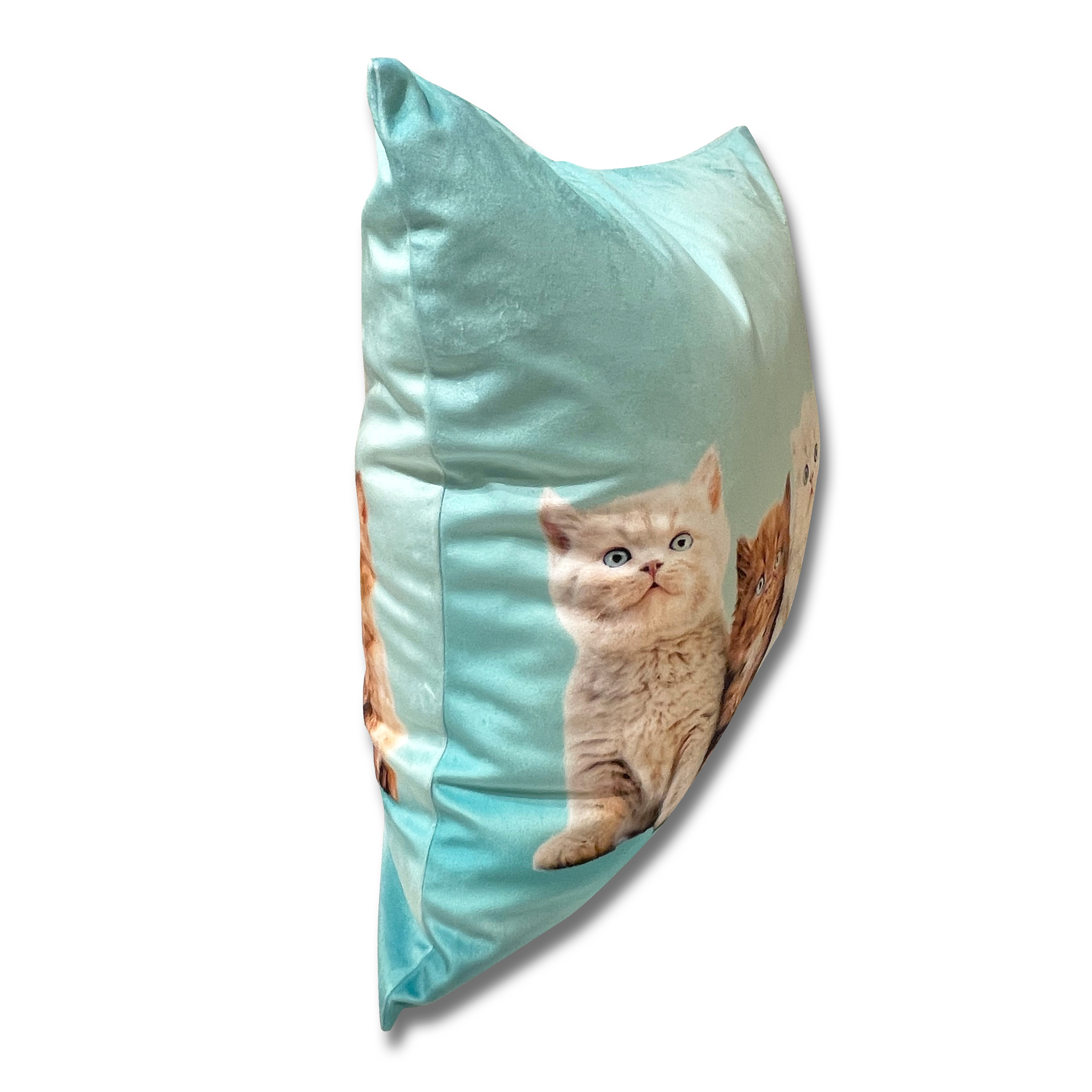 荷蘭絨3D立體咕𠱸套 (四隻小貓連3D立體貓圈)