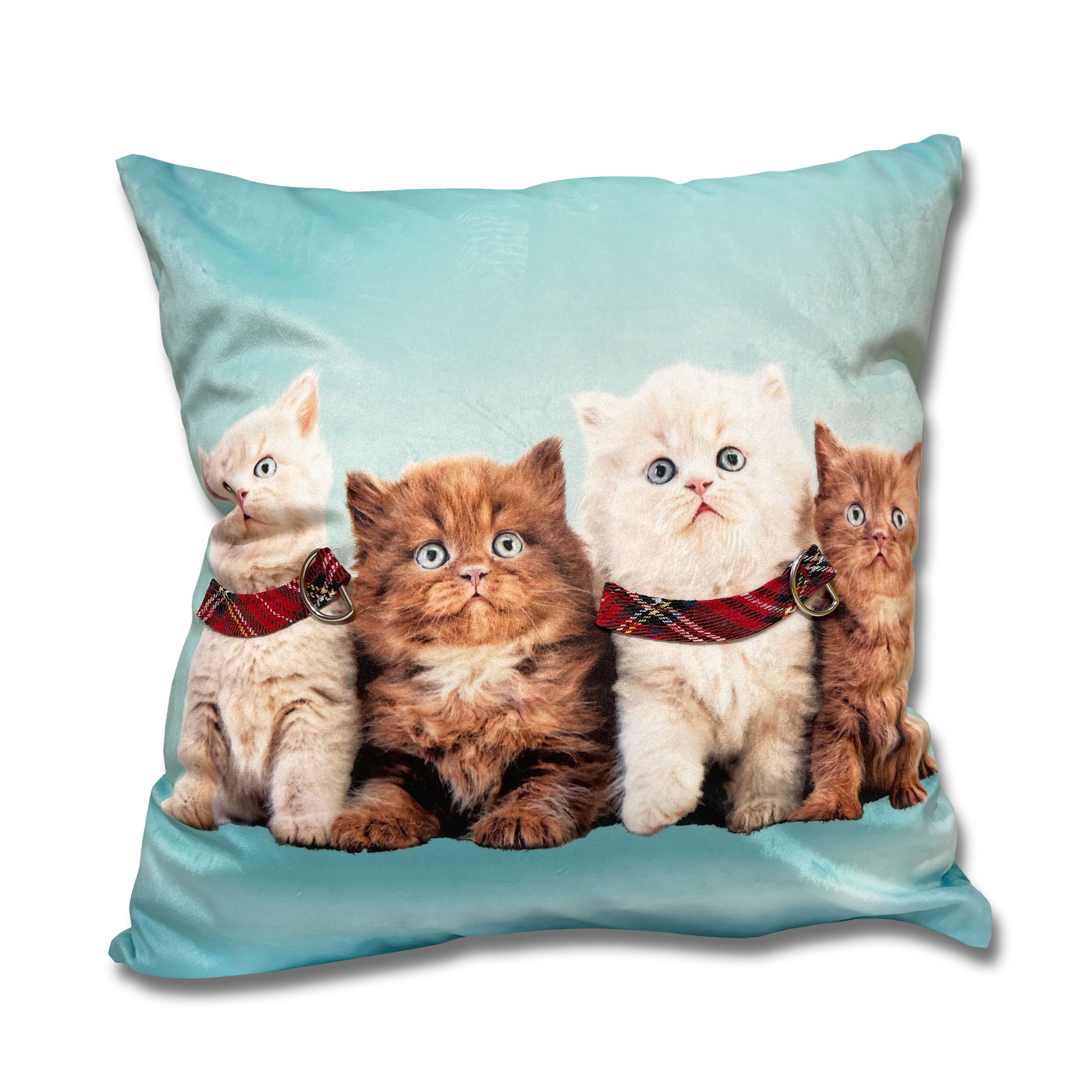 荷蘭絨3D立體咕𠱸套 (四隻小貓連3D立體貓圈)