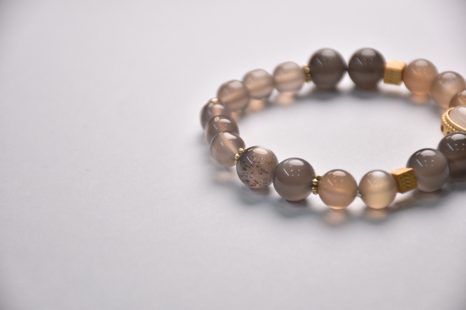 驚蟄丨蟄伏太歲年與生命力丨海底輪