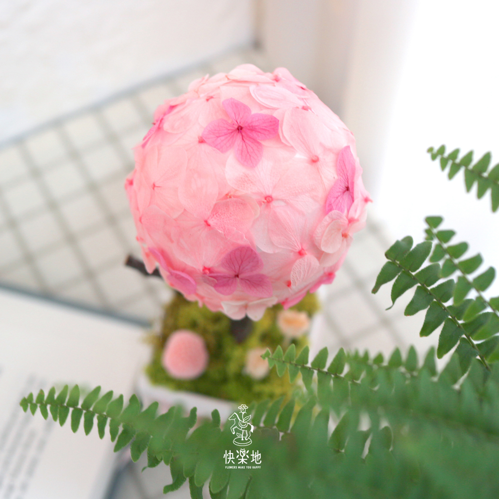 居家DIY課程 I棒棒糖花樹-浪漫花海 PF210516