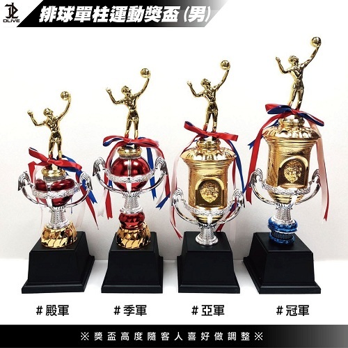 獎盃 - 排球款