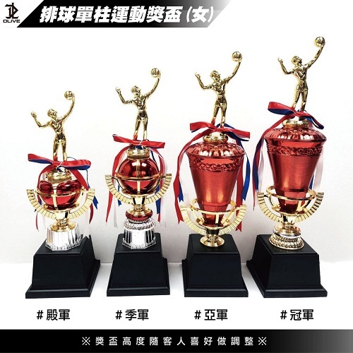 獎盃 - 排球款