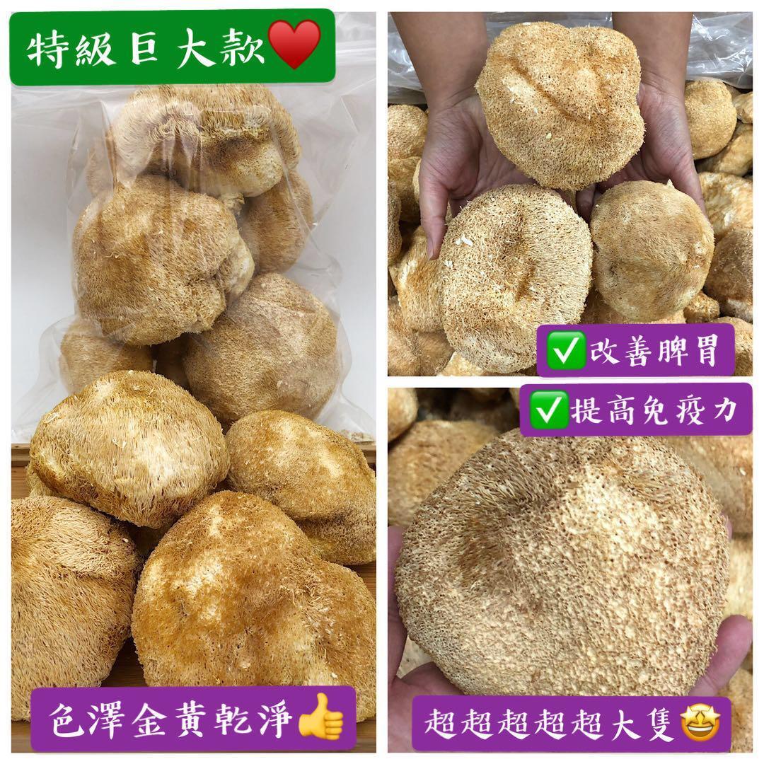 300克特級巨大猴頭菇