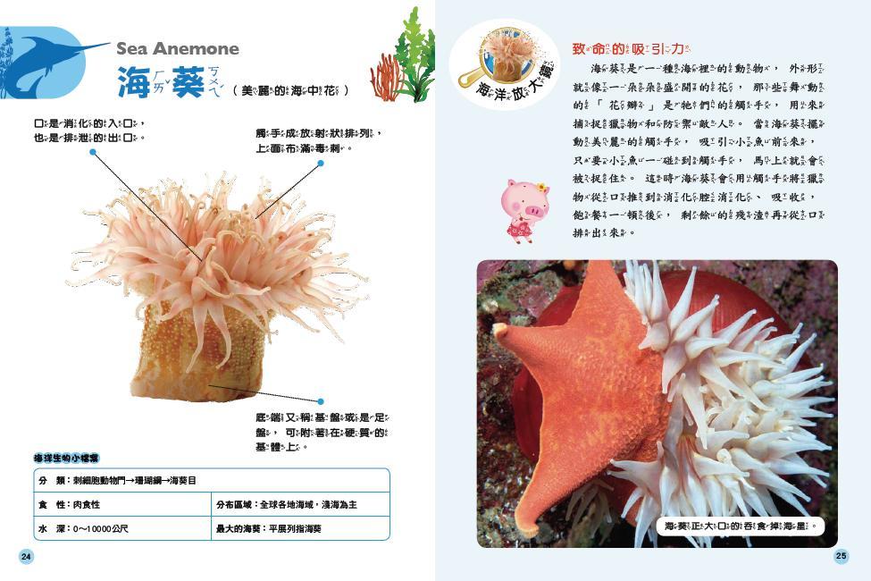 探索知識大百科 (全套6本)