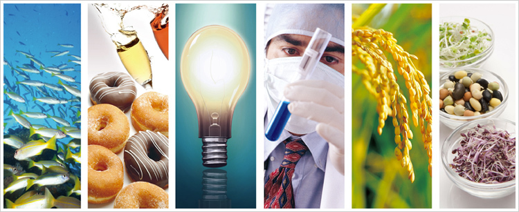 海洋深層水的應用