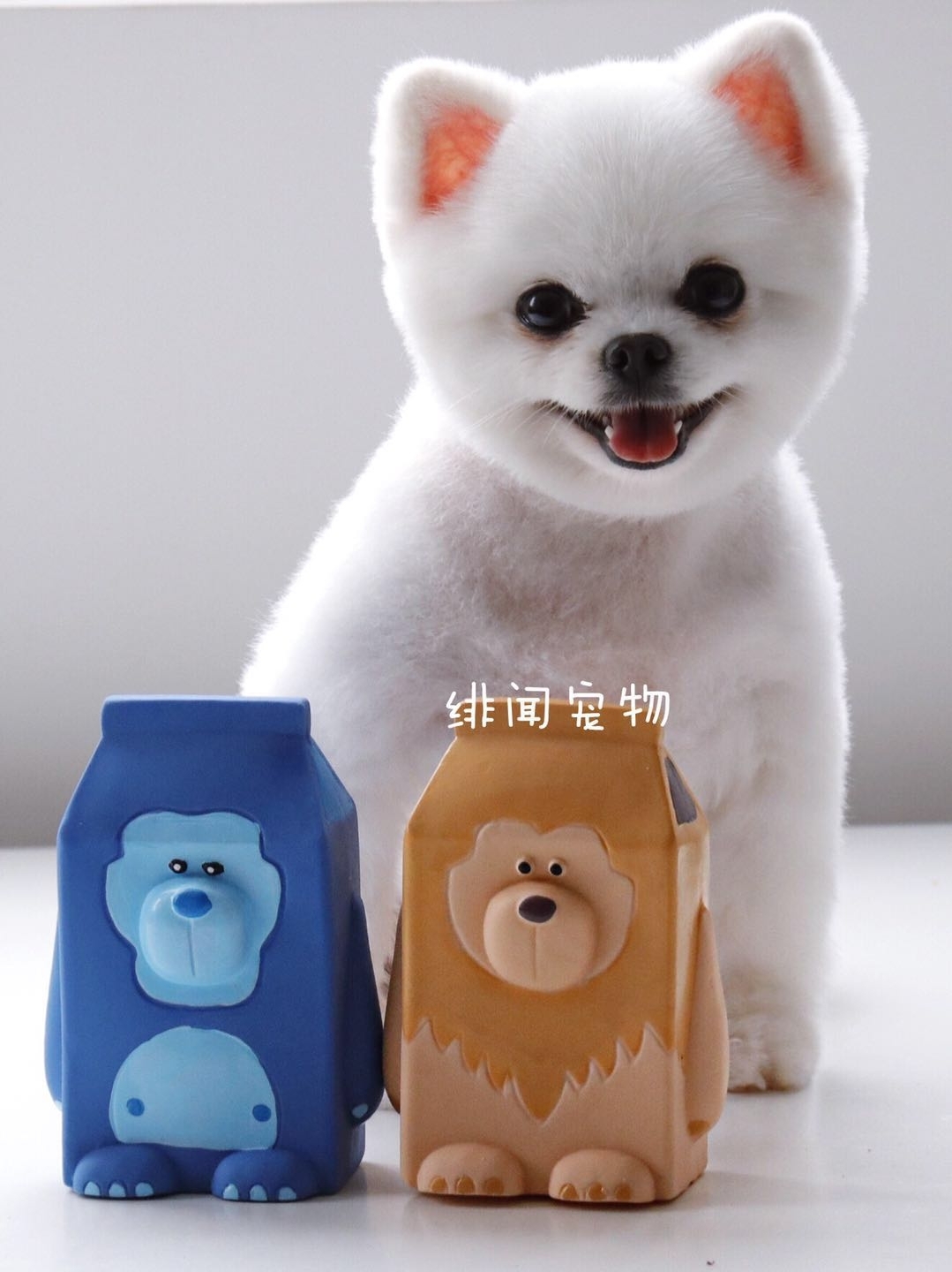 Q-MONSTER 爆款乳胶可爱牛奶盒子 12.5cm*8.5cm