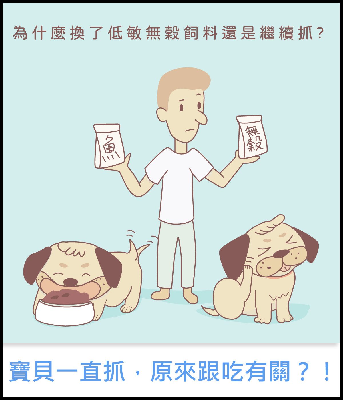 dog-cat-skin-problem