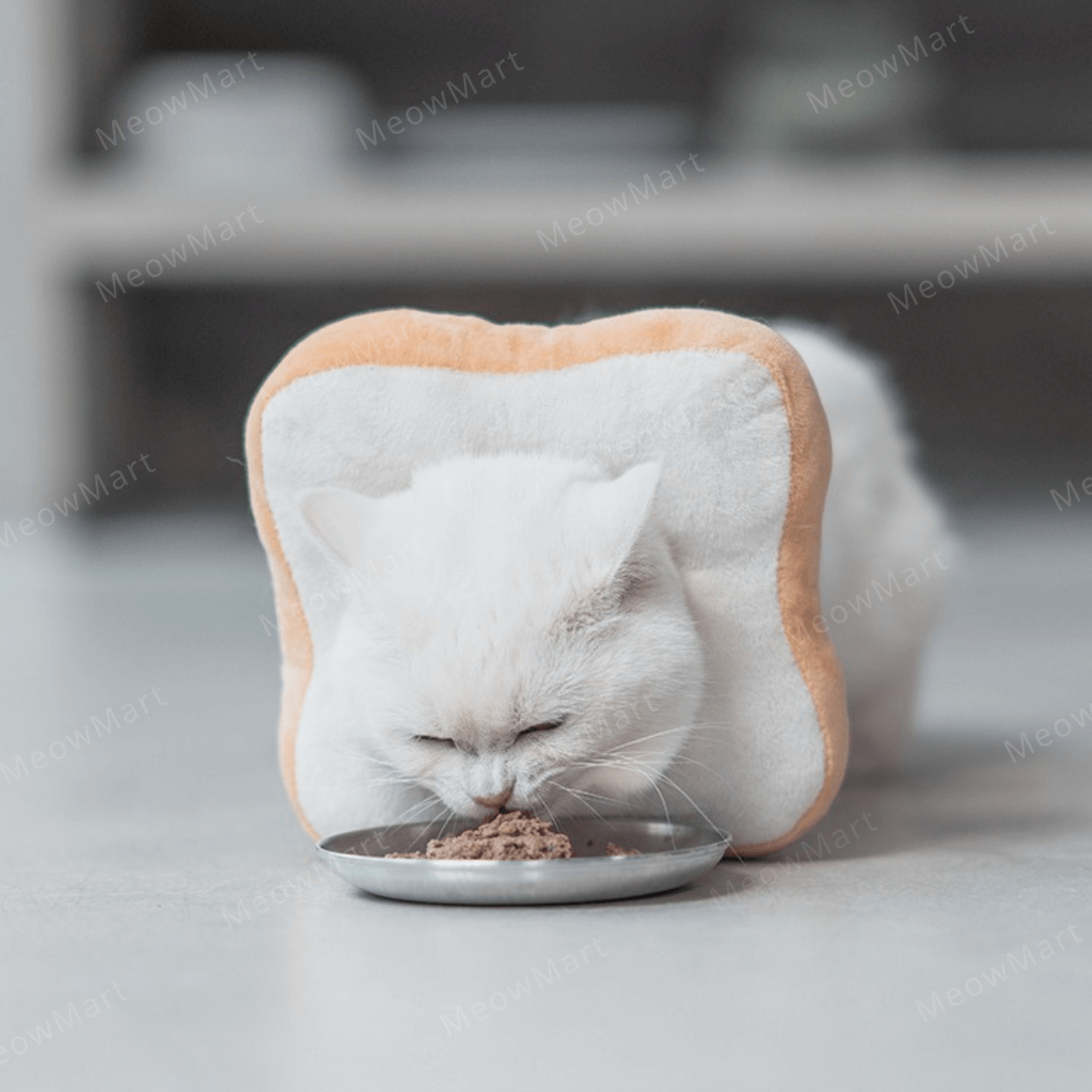 【現貨8折】超萌面包伊麗莎白頸圈｜防咬防舔防抓 (貓狗適用)