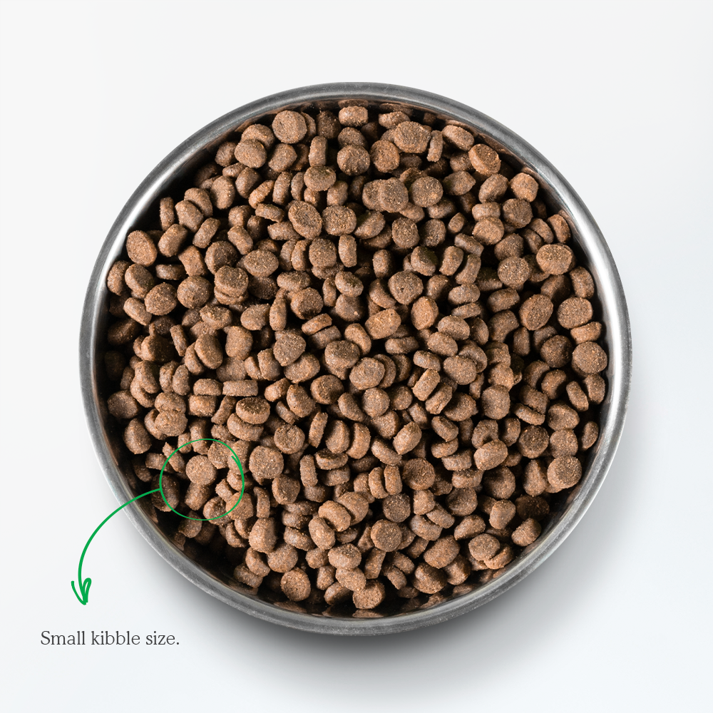 加拿大 Open Farm - 全齡貓活力亮毛食譜【太平洋鮭魚】