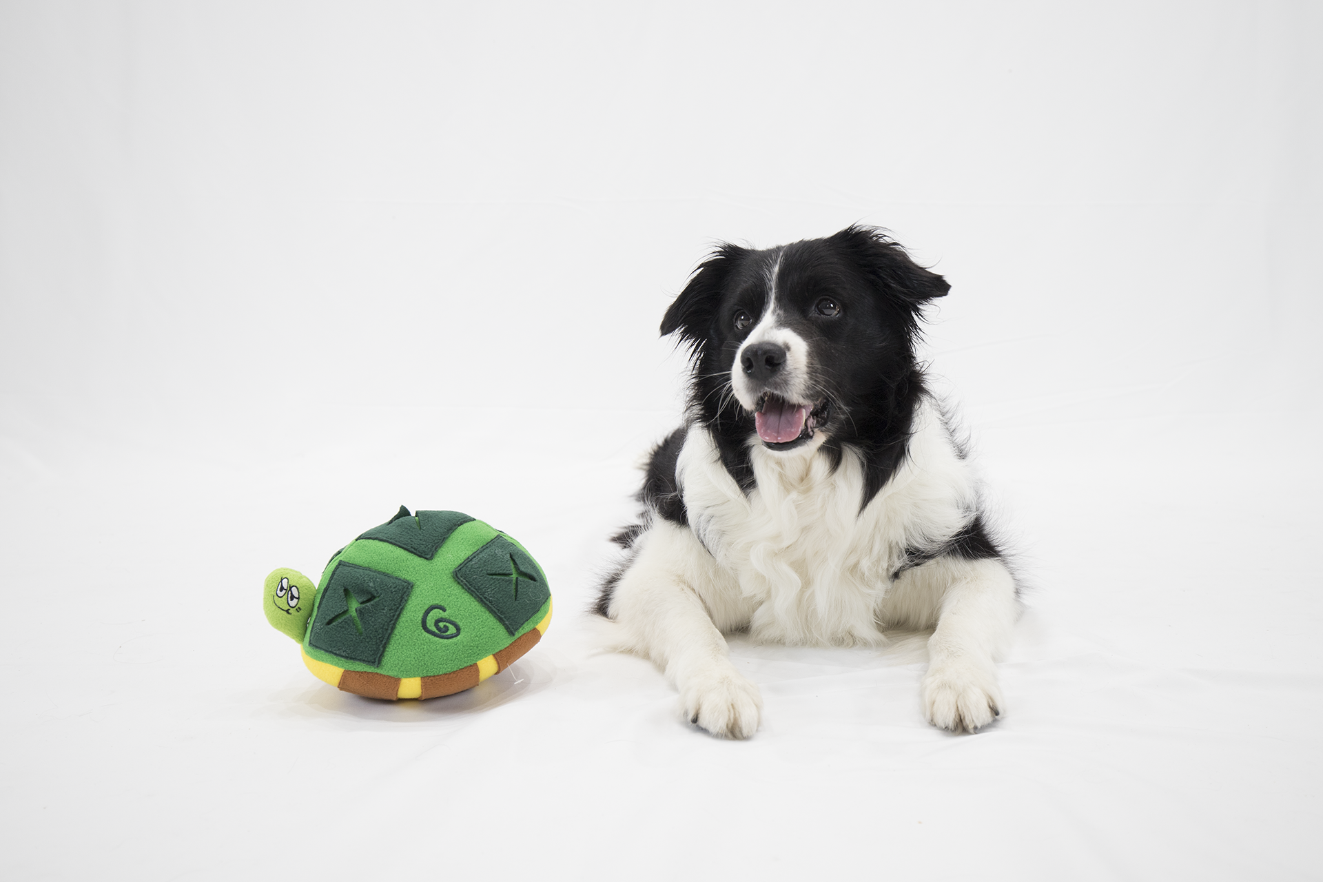 藏食玩具｜夏威夷海龜 - andblank