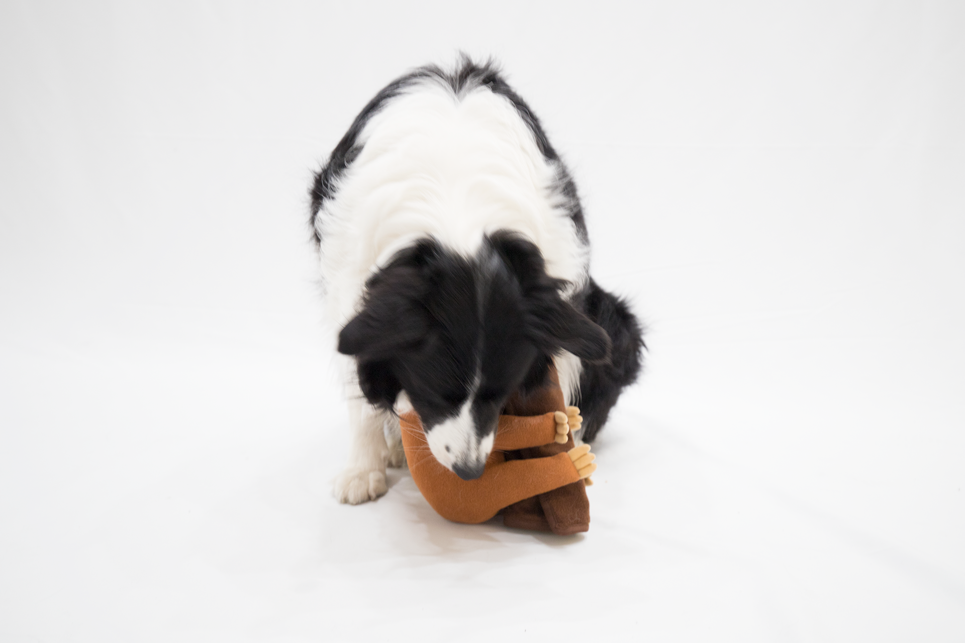 藏食玩具｜慢慢樹懶 - andblank