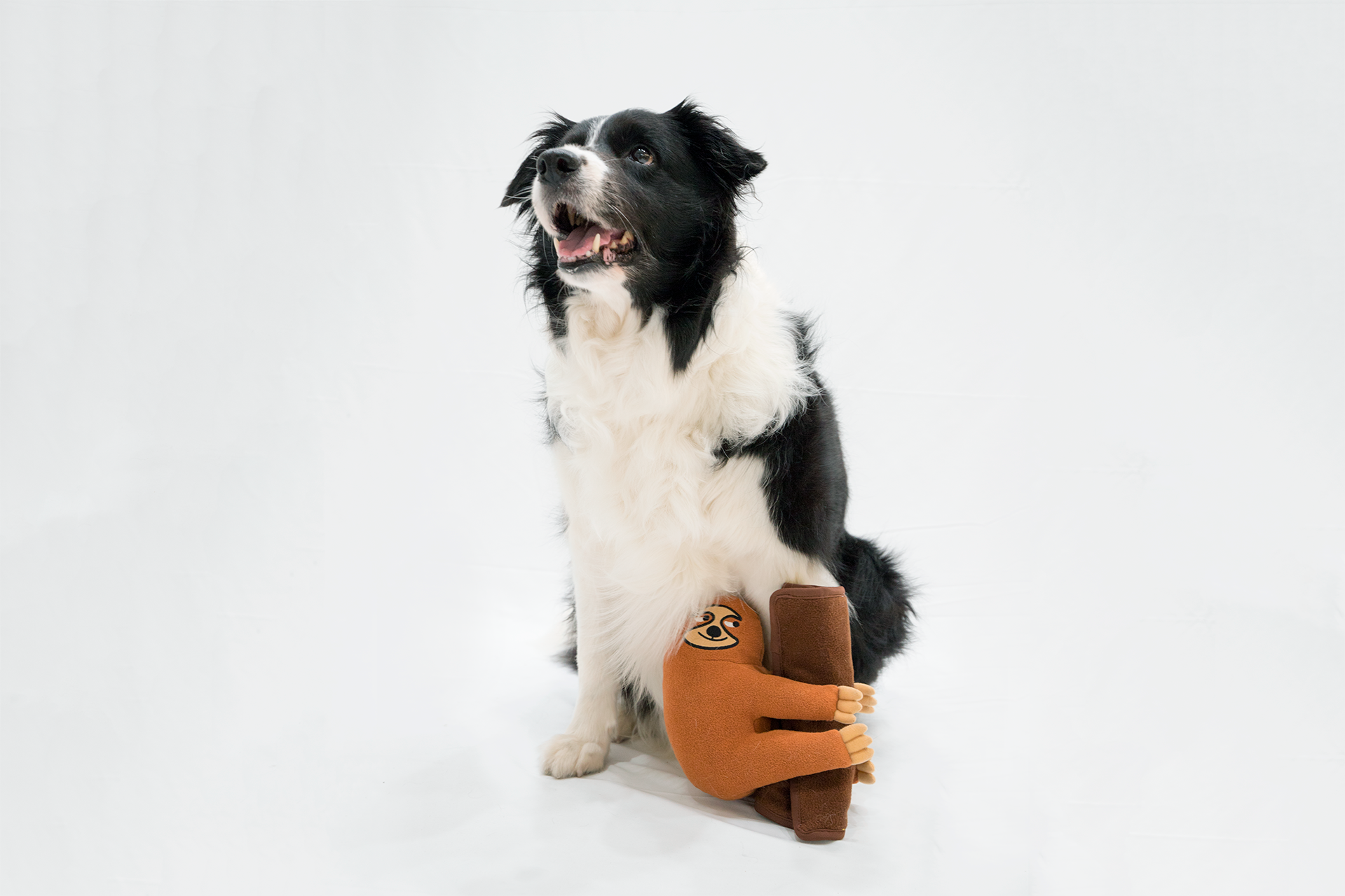 藏食玩具｜慢慢樹懶 - andblank