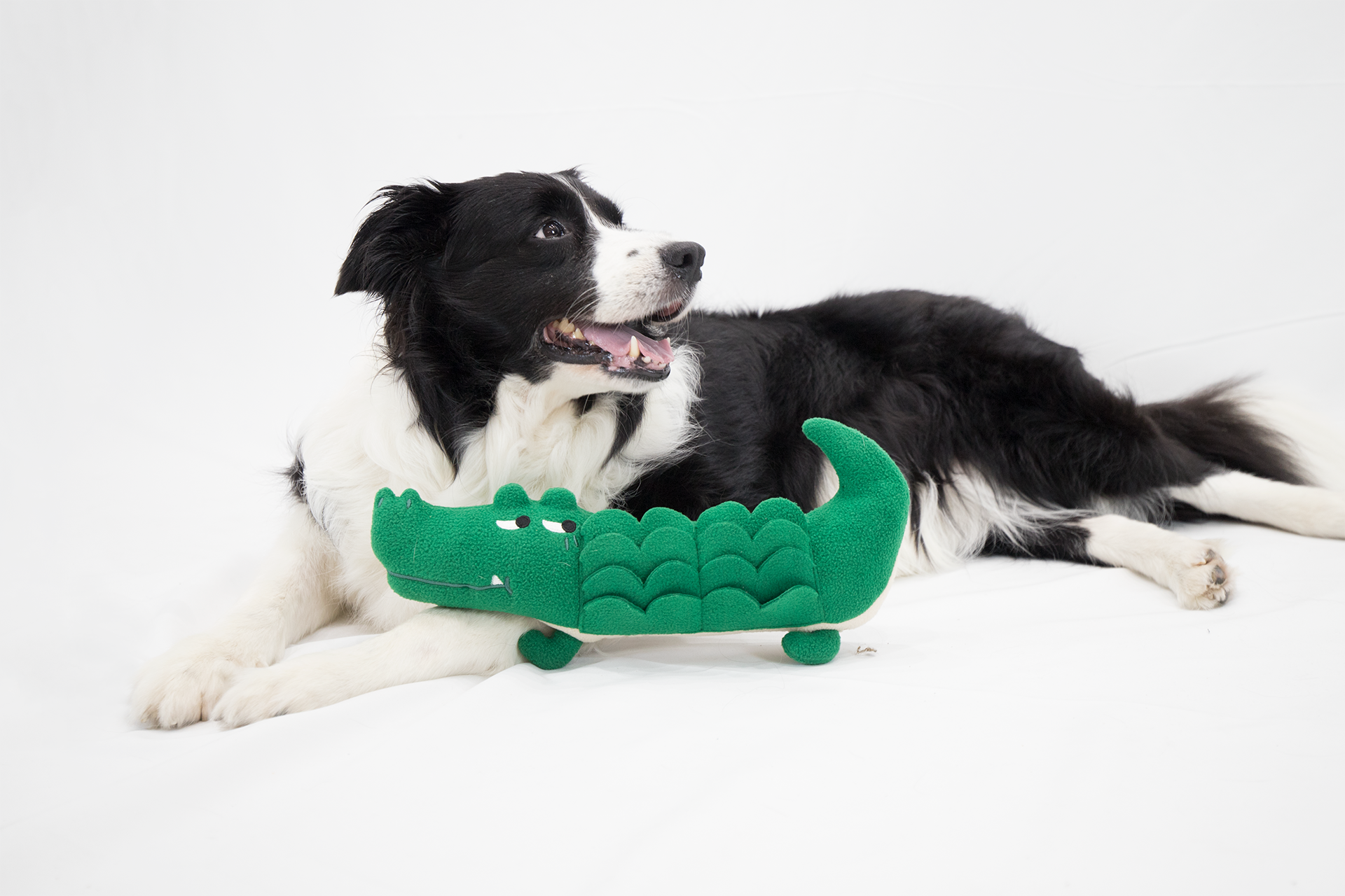 藏食玩具｜懶惰鱷魚 - andblank