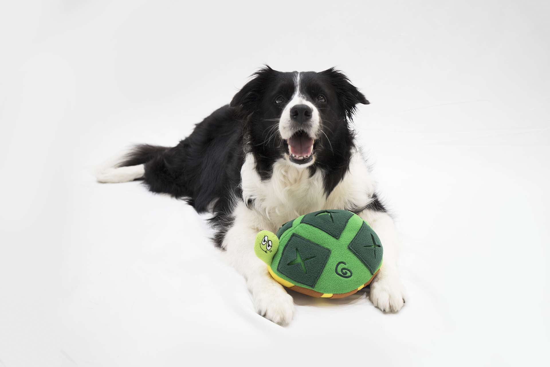 藏食玩具｜夏威夷海龜 - andblank