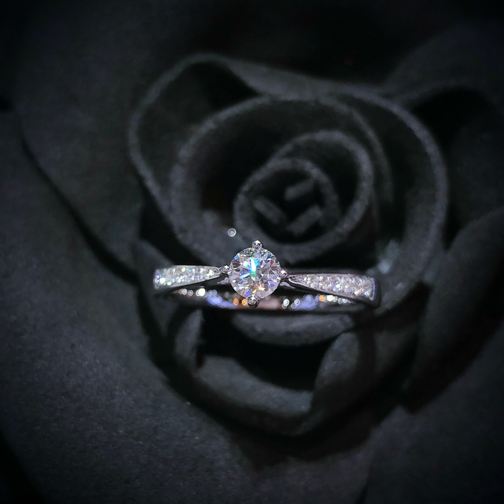 全新18K白金【單粒24份鑽石】 配小鑽共31份鑽石戒指