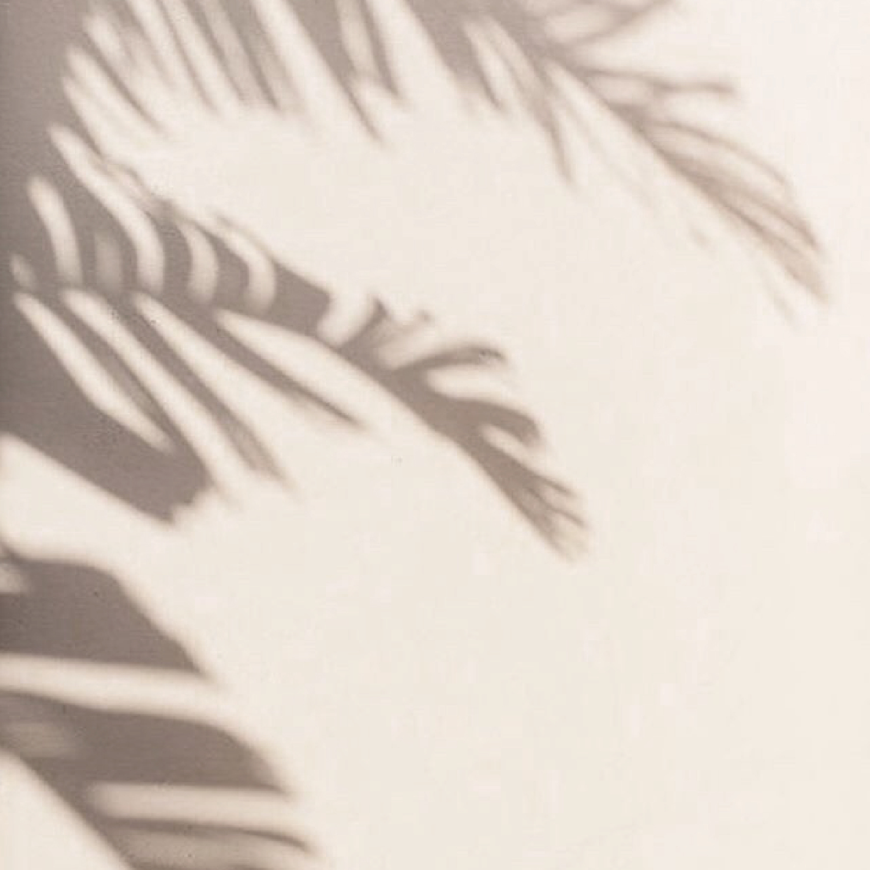 碧優娜, 防曬隔離精華系列, 全日防禦, 長效修護, 均勻零色差, 內修護外防護, 白皙透亮, 潤色保濕, 高效防護力, 抵禦紫外線侵害, 日常保養最後一道程序, 自然光采, SUNSCREEN, UV Essence, UV Protector