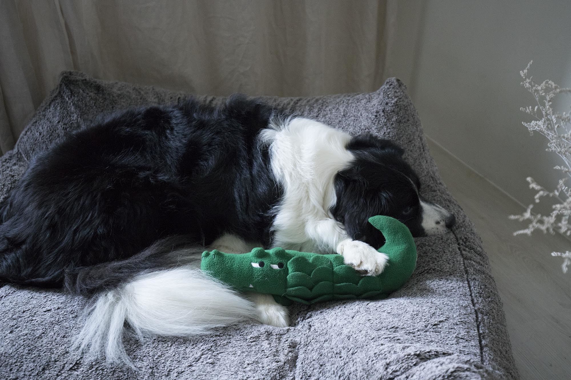 總監最愛｜人毛共融大灰床 - LeapSelect