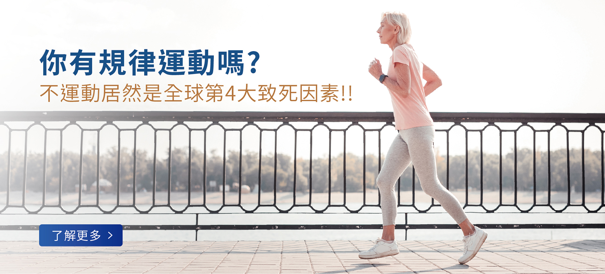 按摩椅,律動椅,按摩,律動,心血管,健康,養身,保健,紓壓,運動,肥胖,失眠,睡眠,睡覺,消化不良,腸胃消化