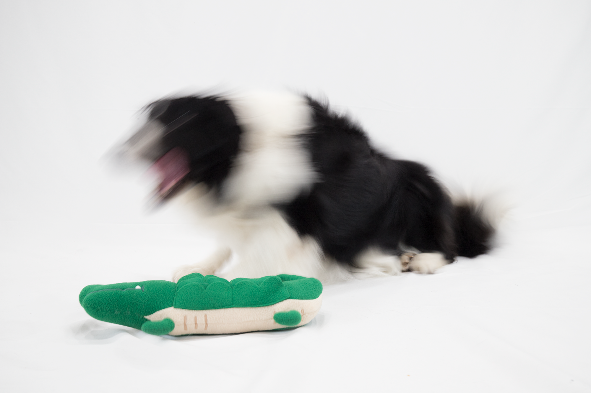 藏食玩具｜懶惰鱷魚 - andblank