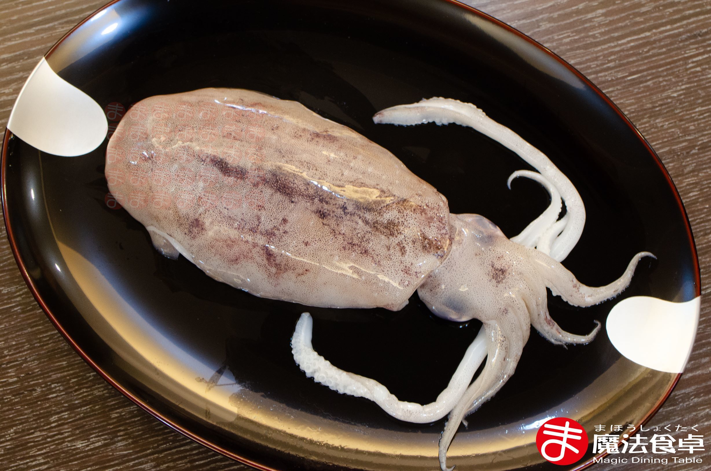 冷凍特級活凍軟絲【一尾】