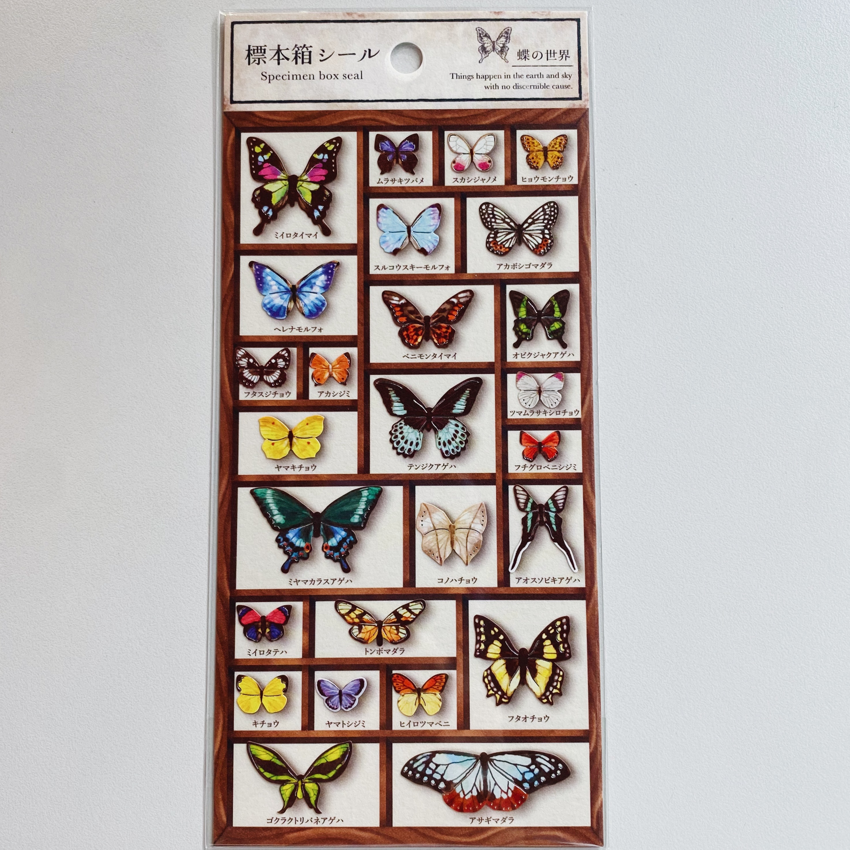 Mind Wave 標本箱系列貼紙 蝴蝶 80703