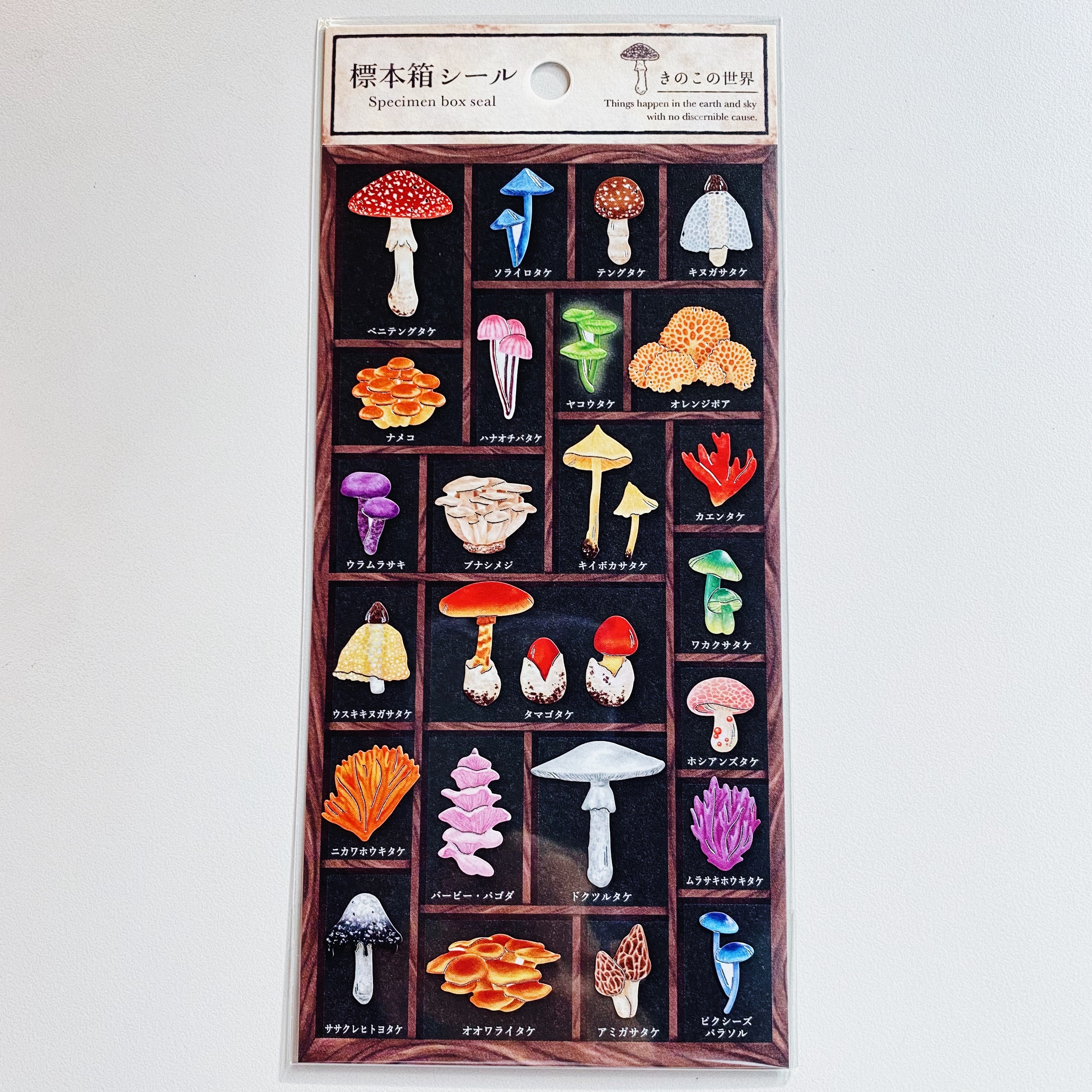 Mind Wave 標本箱系列貼紙 蘑菇 80705