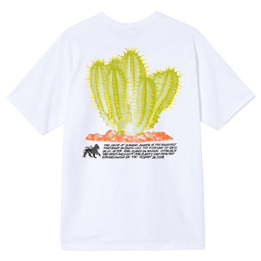 [INSTOCK] STUSSY  DESERT BLOOM TEE "WHITE"