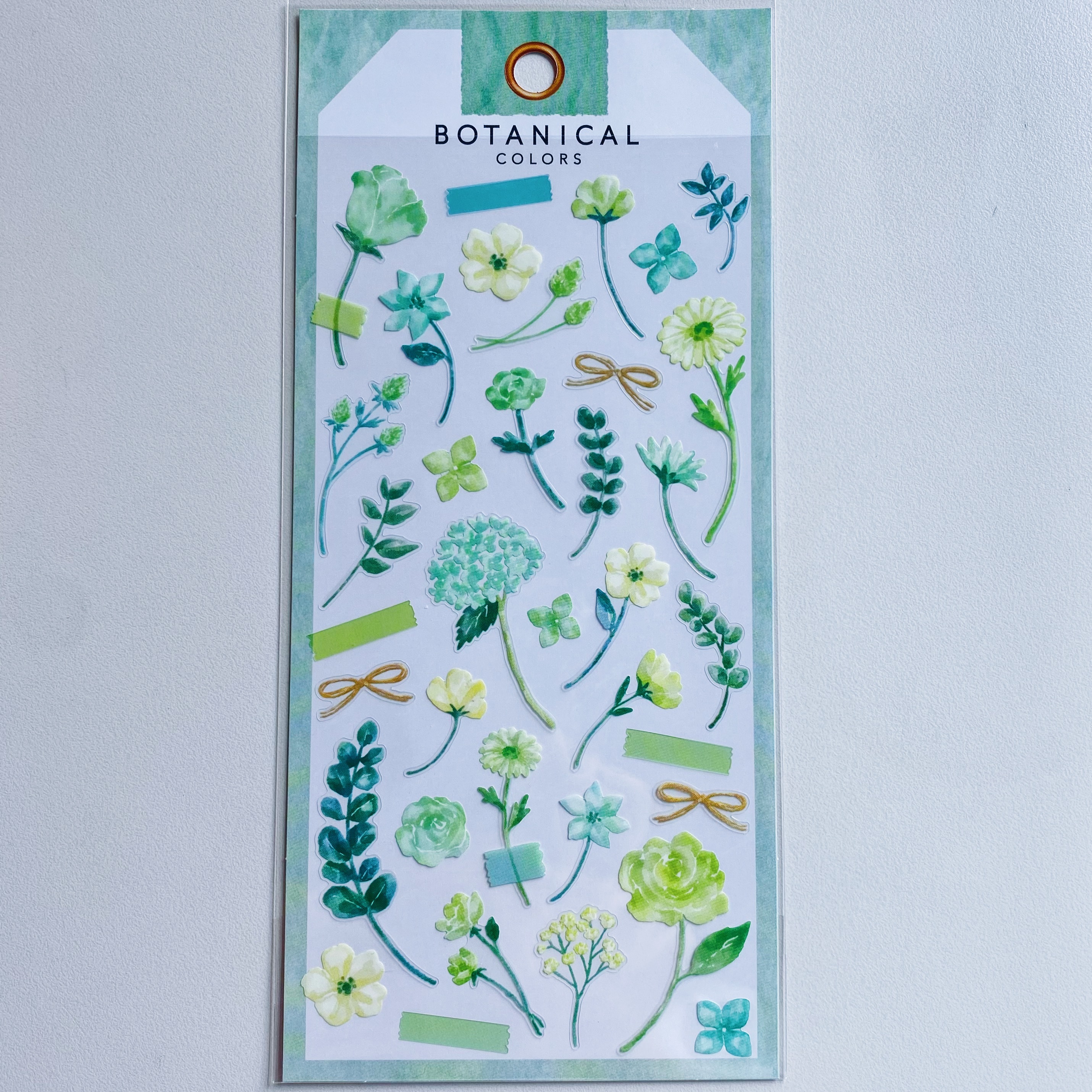 Mind Wave 植物色彩 手帳貼紙 綠色 Botanical Colors