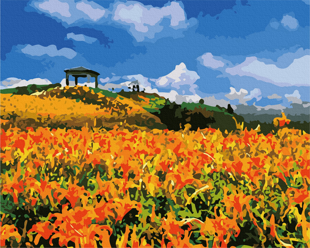 【TW013】台灣風情誌-花蓮六十石山金針花海