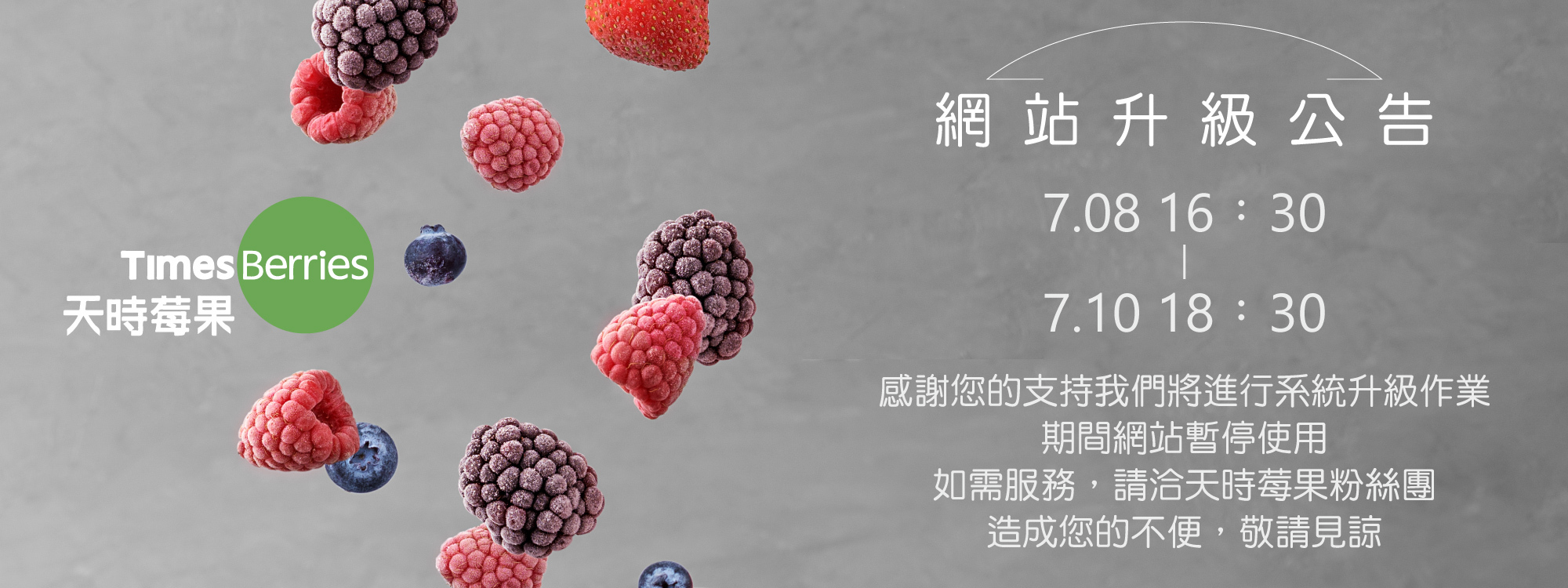 天時莓果官網升級公告20210708-20210710