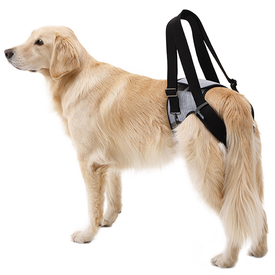 LaLawalk-後肢輔助包覆款-(分尺寸)-灰條紋