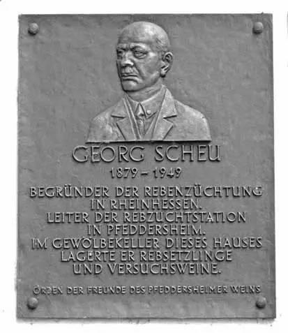 Dr. Georg Scheu