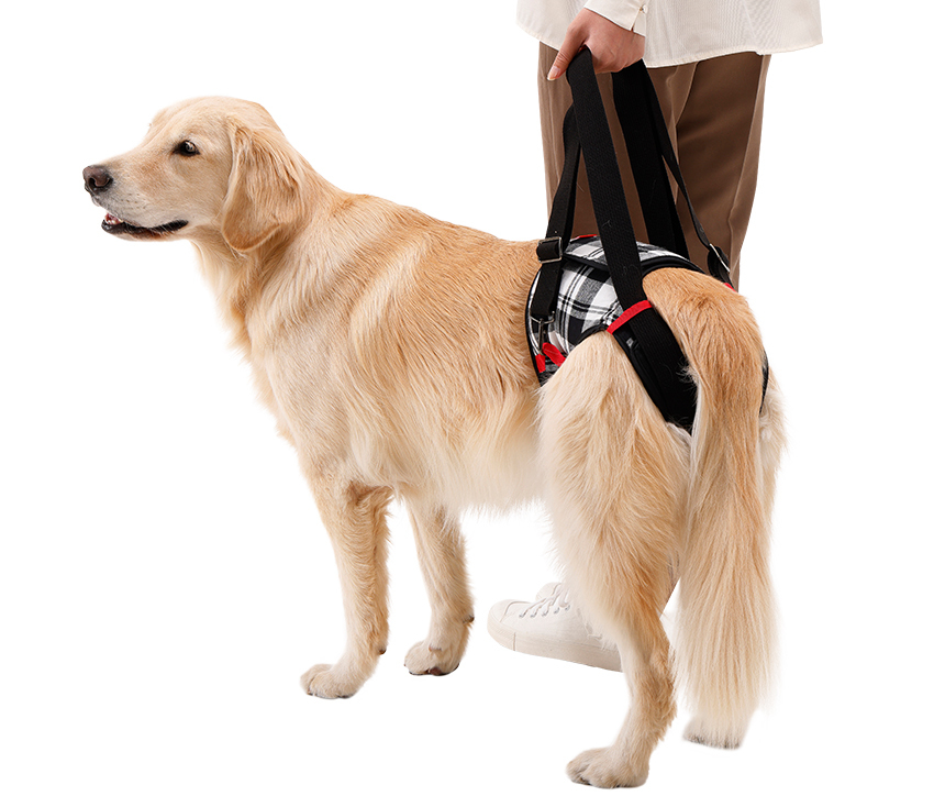 LaLawalk-後肢輔助包覆款-(分尺寸)-紅黑格