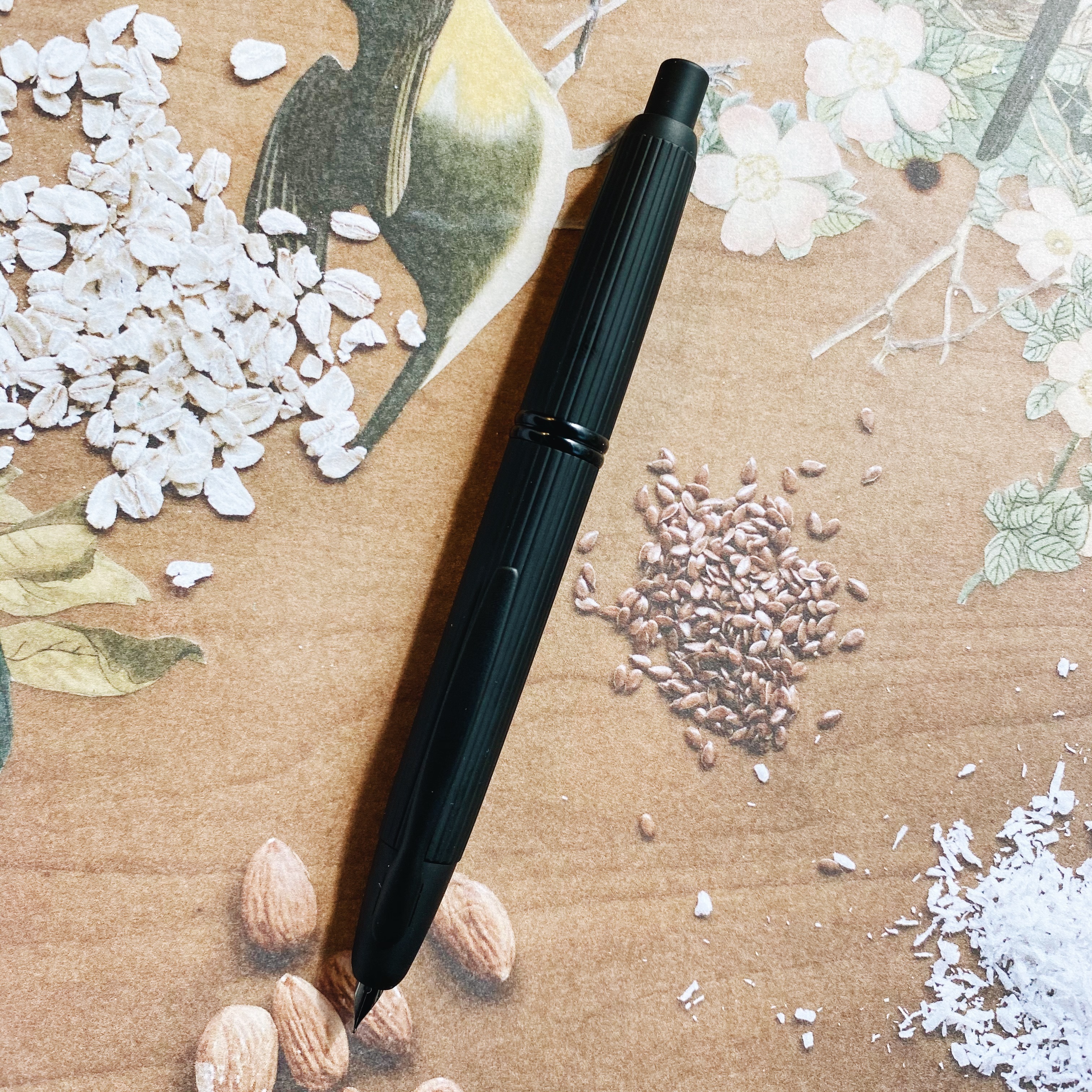 百樂 CAPLESS STRIPE  黑武士條紋 按壓式鋼筆 18K