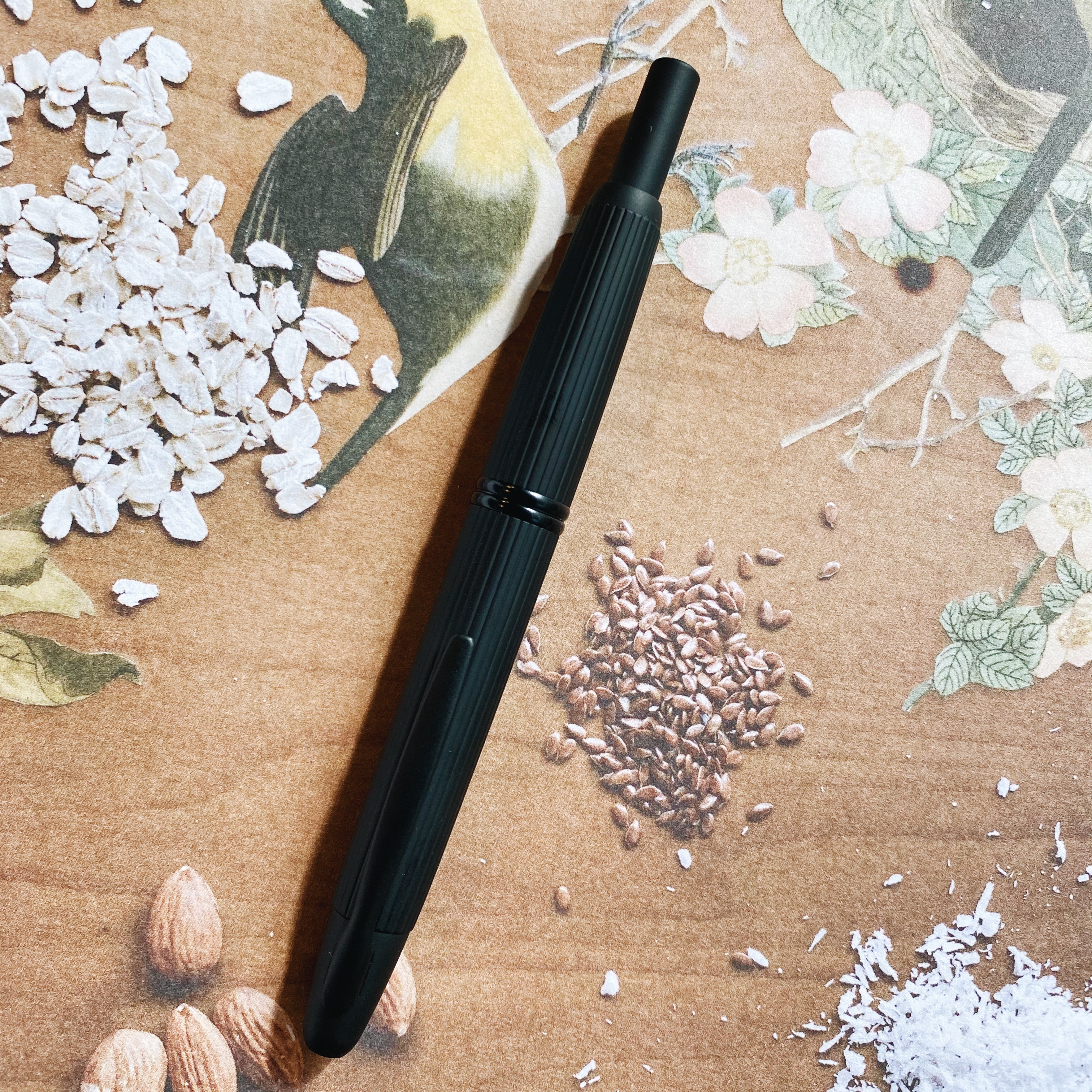 百樂 CAPLESS STRIPE  黑武士條紋 按壓式鋼筆 18K