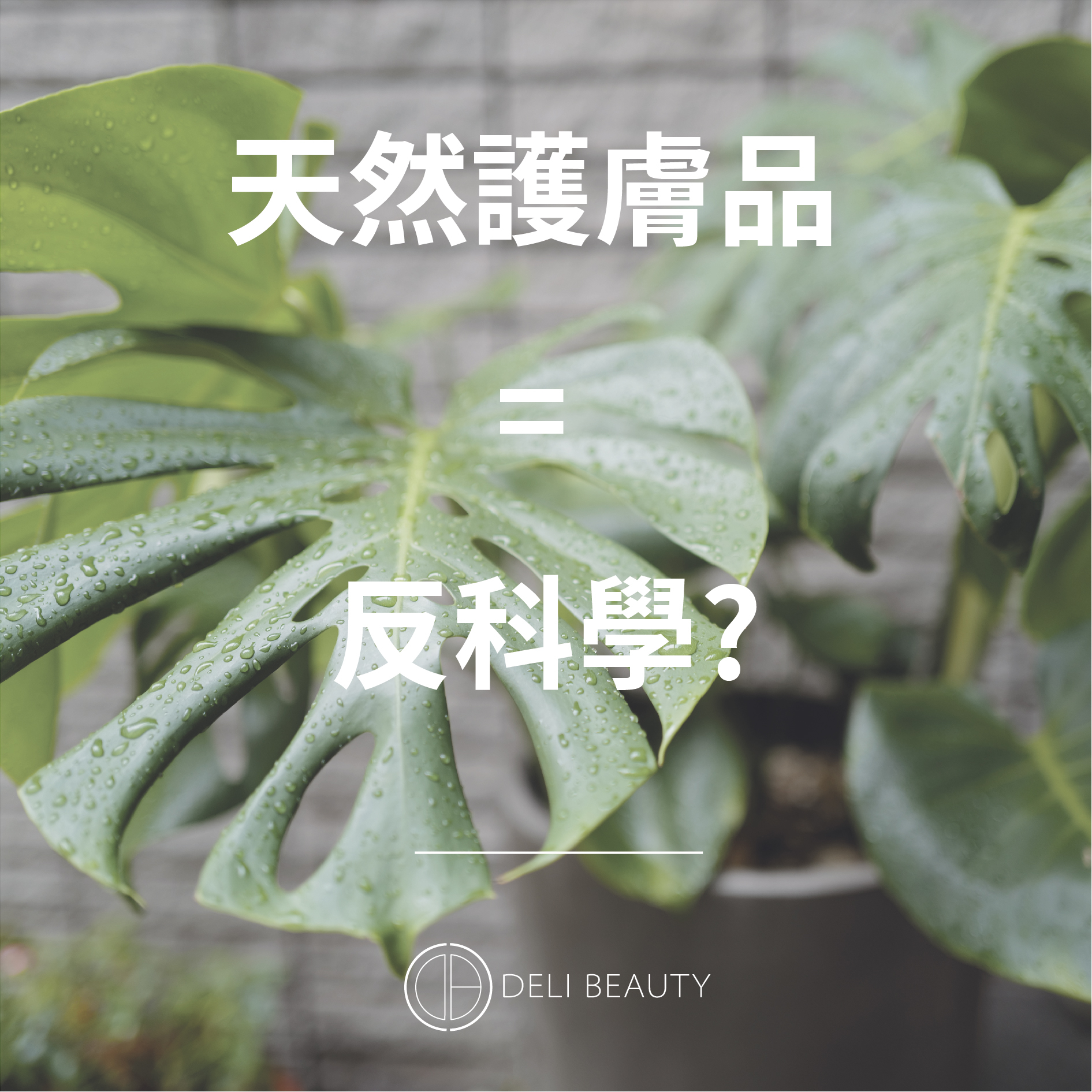 【Q&A】天然護膚背後的科學