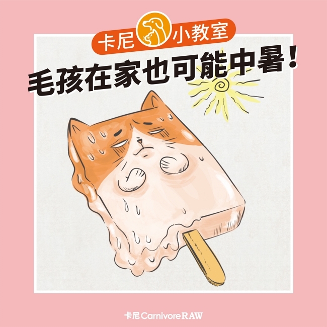 毛孩在家也可能中暑