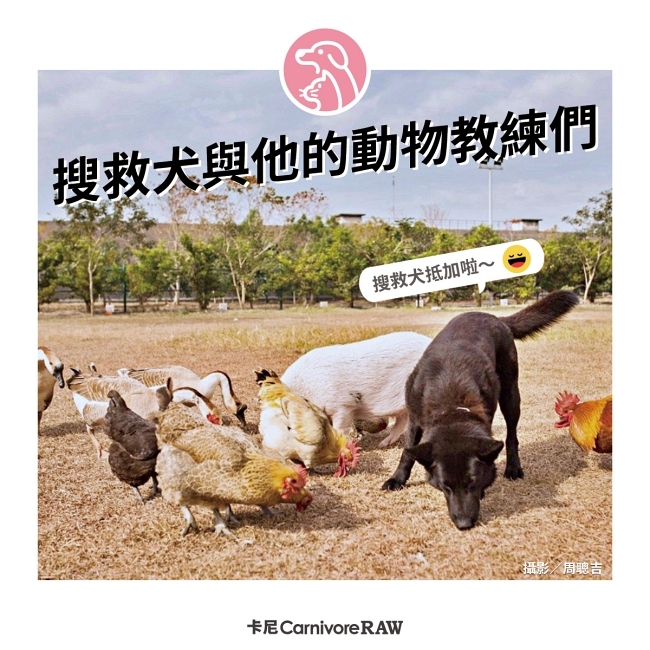 搜救犬的動物教練