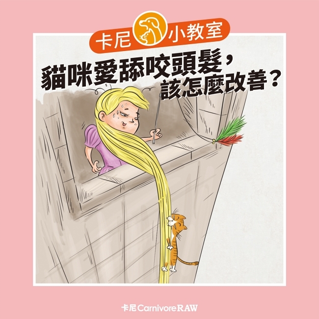 如何改善貓咪愛咬頭髮的行為