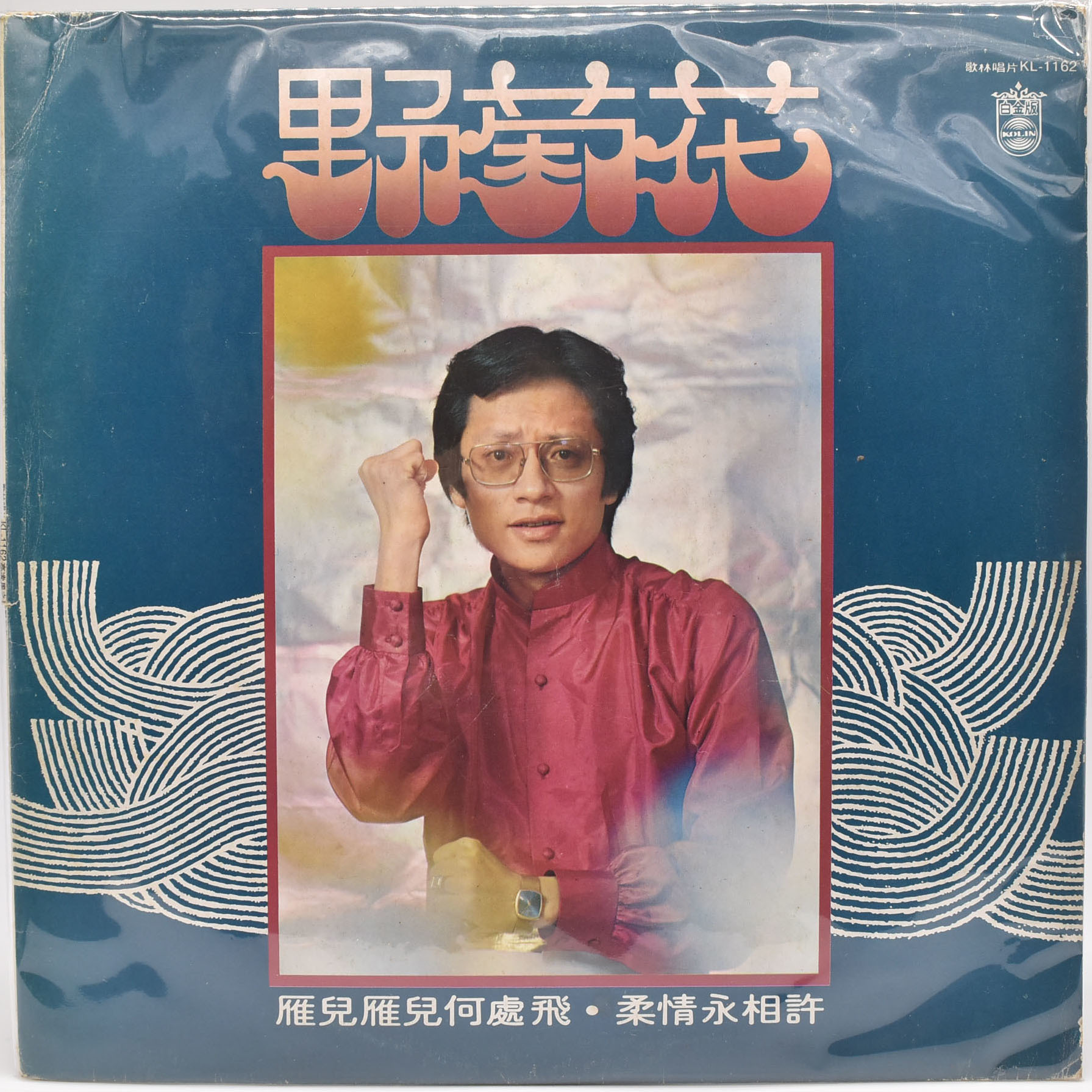 高凌風 野菊花 雁兒在林梢電影插曲 黑膠 609900000616 再生工場2107 03