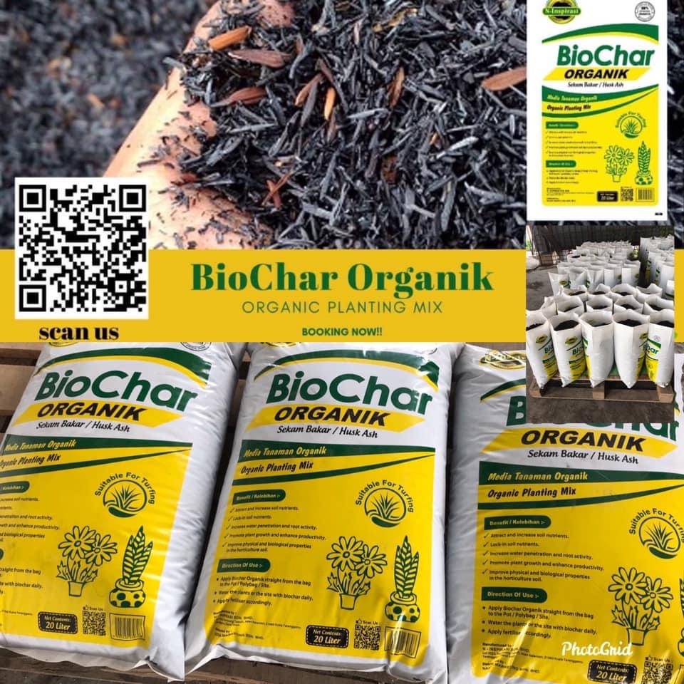 biochar-organik-rice-husk-ash