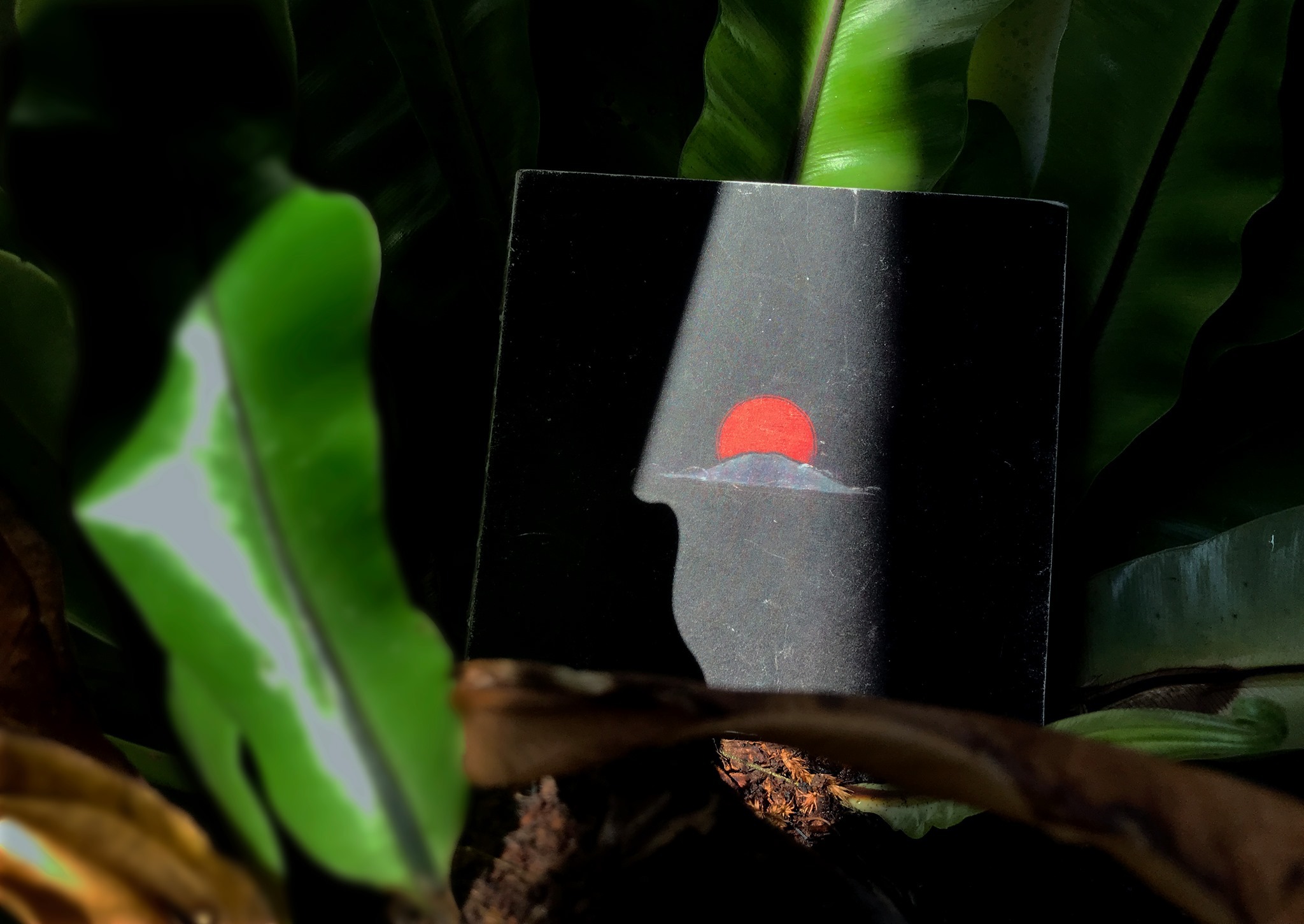 【CD】上海彩虹室內合唱團《落霞集》