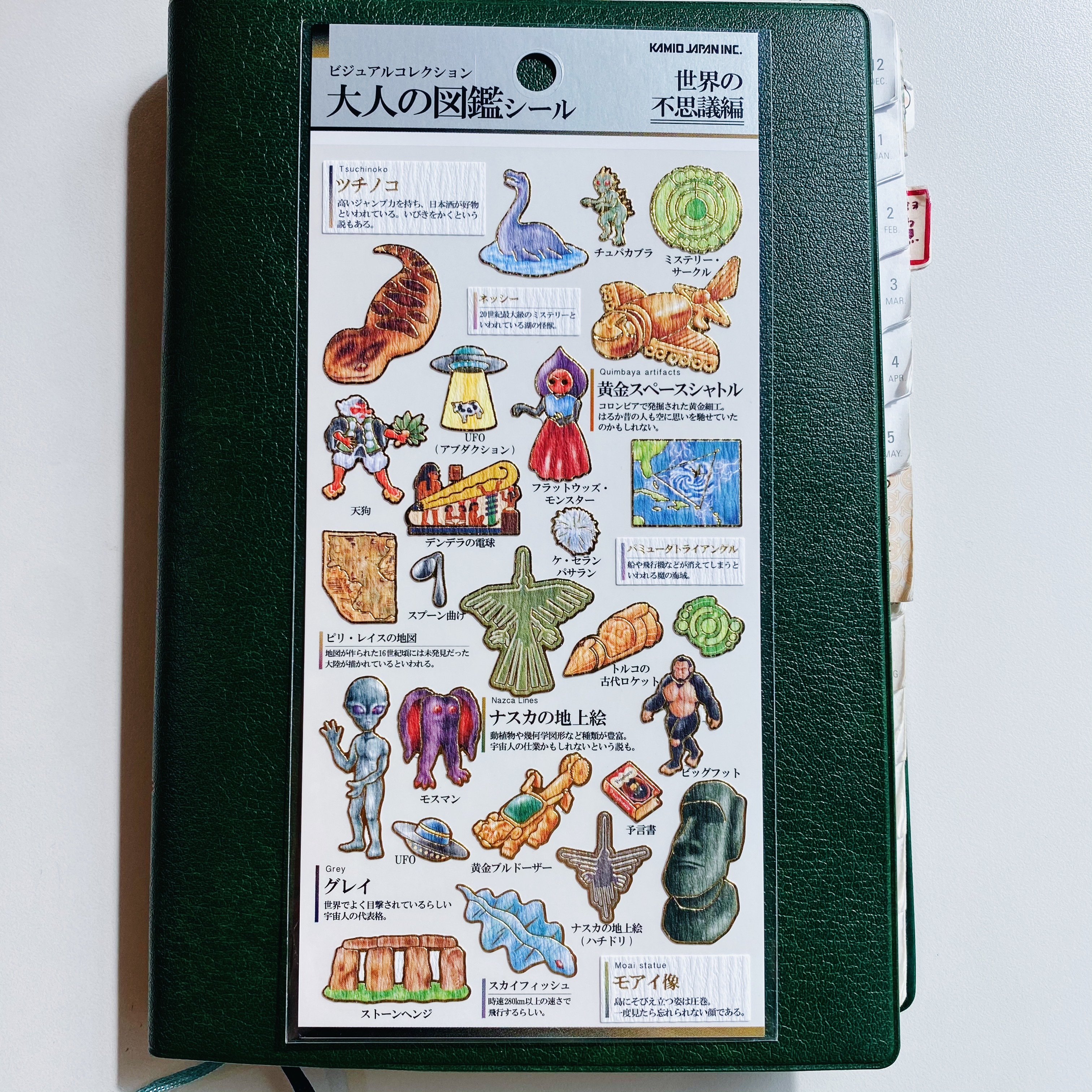 世界的不可思議 Kamio 大人的圖鑑系列 金箔壓印手帳貼紙