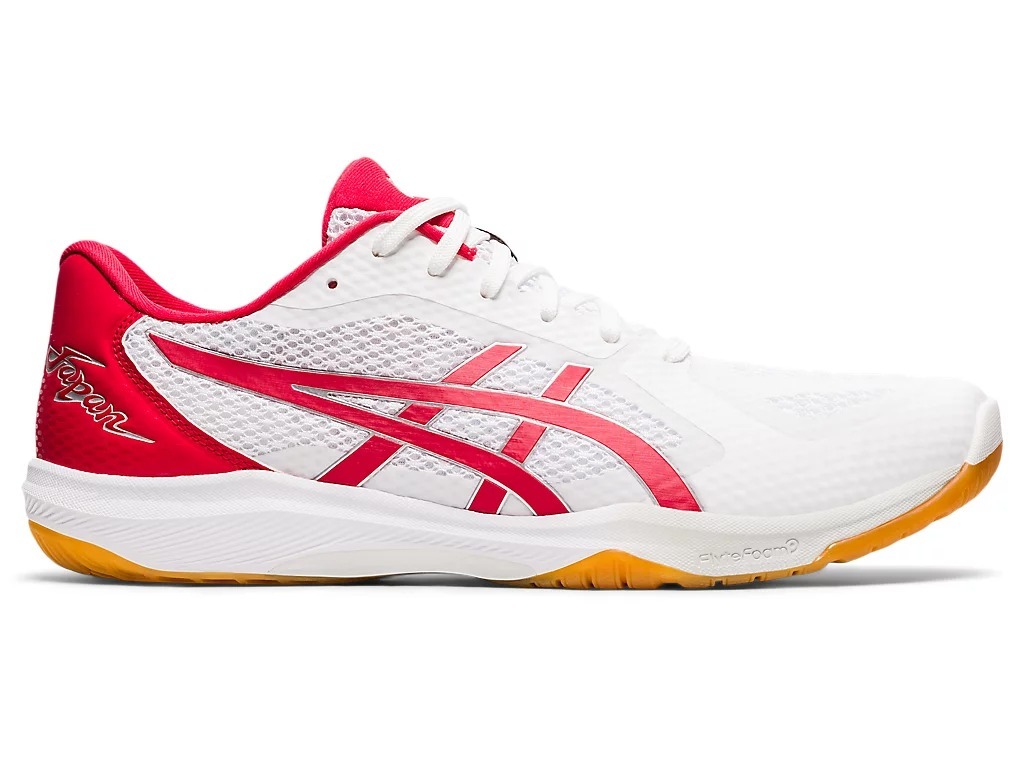 新品・未使用！25cm asics ROTE JAPAN LYTE FF 2 New asics Volleyball Shoes ROTE JAPAN LYTE FF 2 1053A028 009