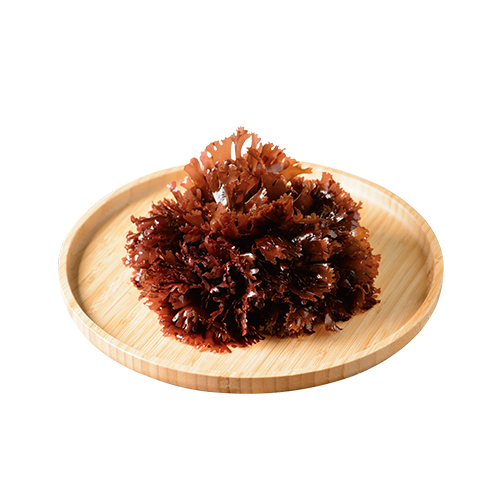新鮮海木耳