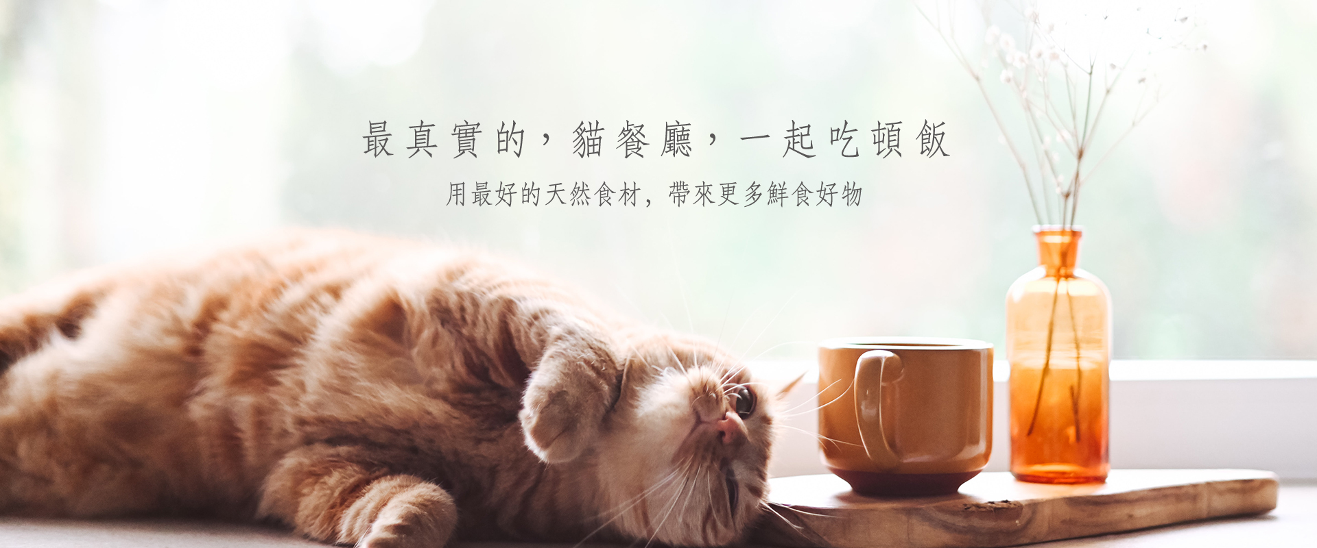 cherie-natural-kitty-vlog-banner