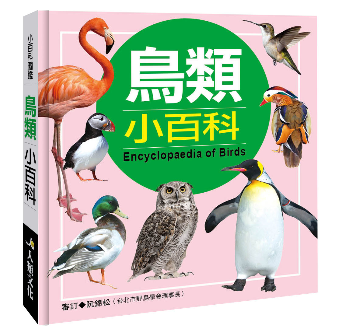 小百科圖鑑系列: 鳥類小百科