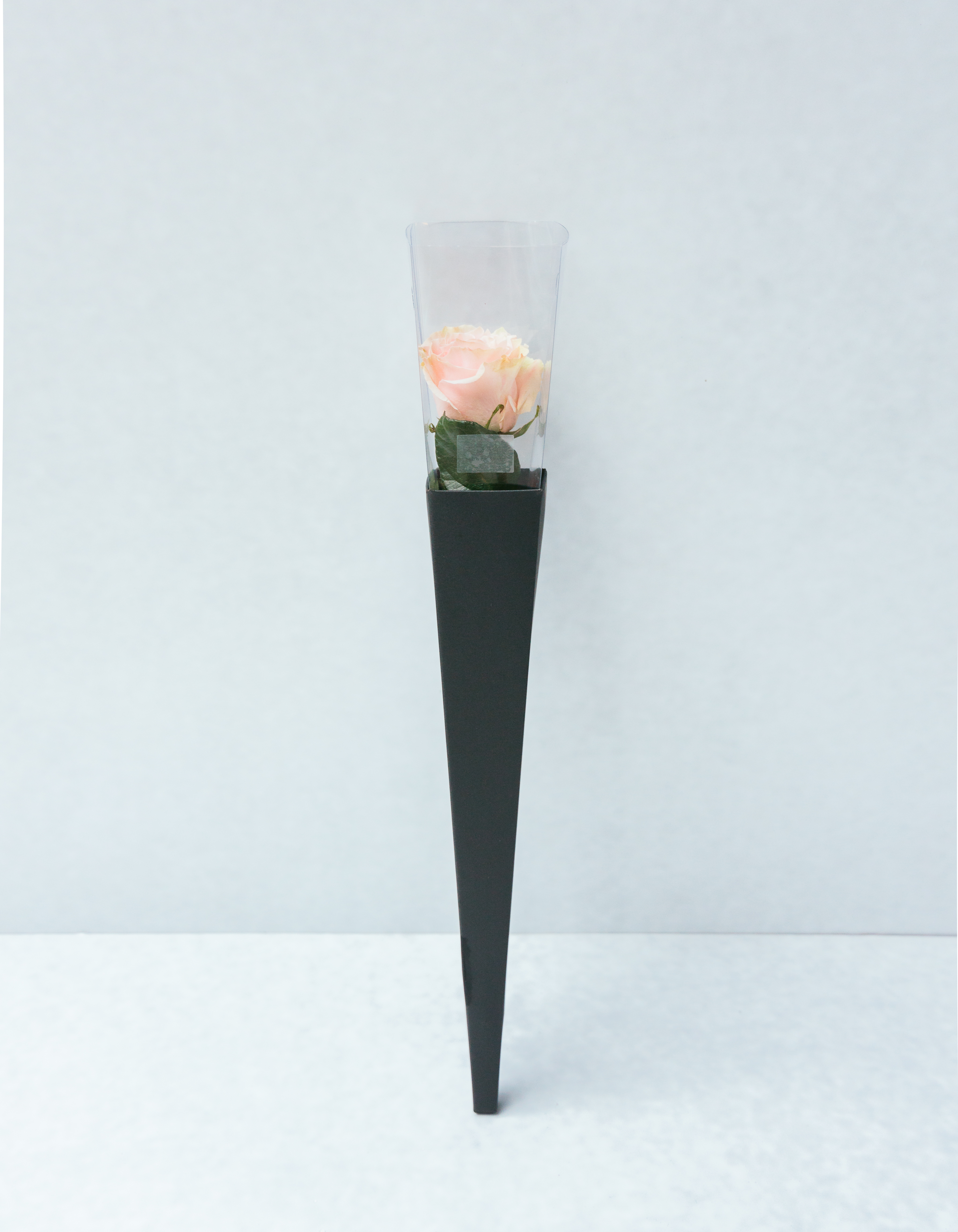 單朵情人節玫瑰 - 粉