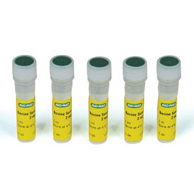 Quick Start Bovine Serum Albumin Standard, BSA 蛋白質標準液